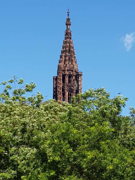 received_679229199212548